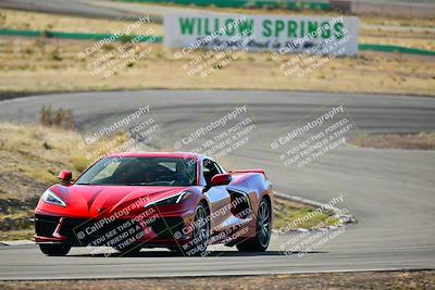 media/Mar-22-2025-West Coast Racing (Sat) [[0d49b412c8]]/Yellow Group/Session 1 (Turn 4-Exterior)/